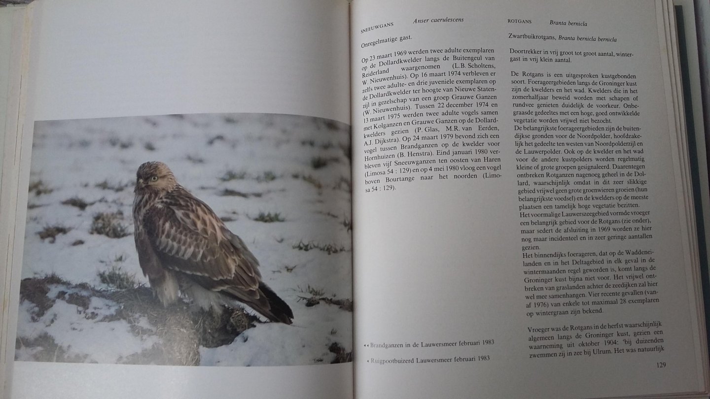 Boekema - Vogels van de provincie groningen