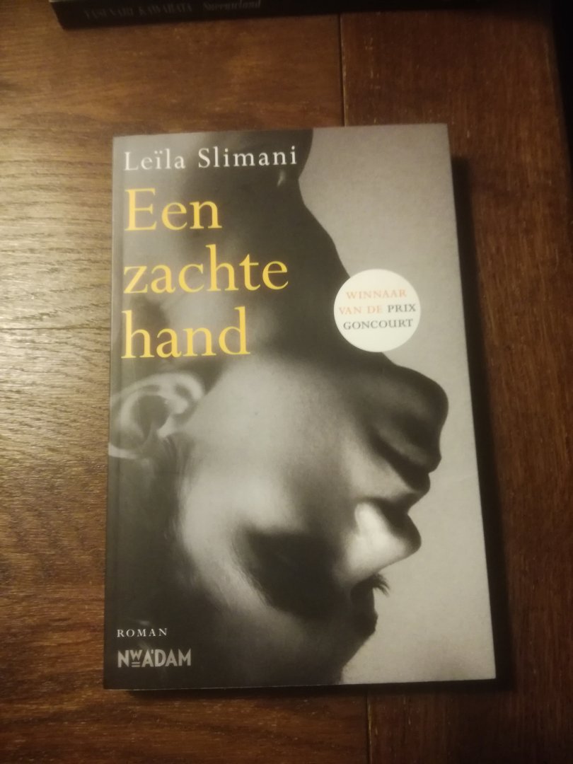 Slimani, Leïla - Een zachte hand