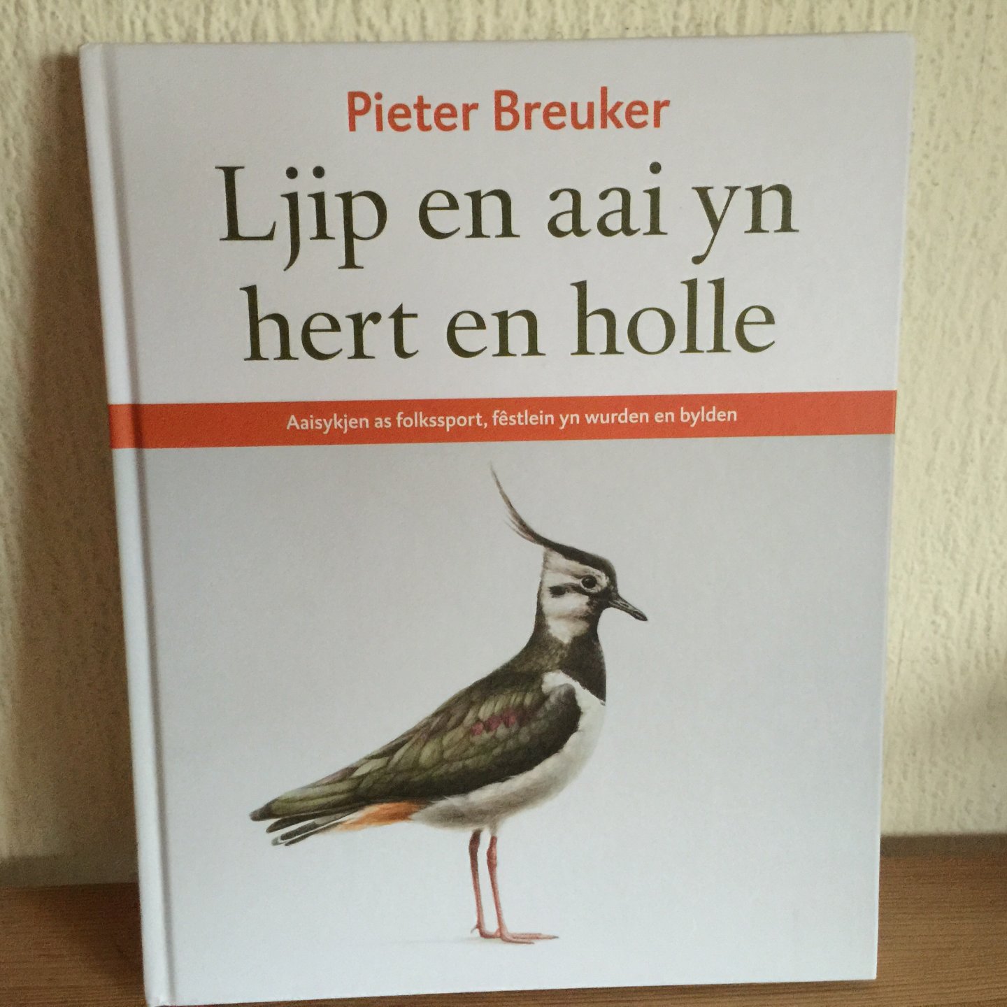 Breuker, Pieter - Ljip en aai yn hert en holle / aaisykjen as folkssport, fêstlein yn wurden en bylden