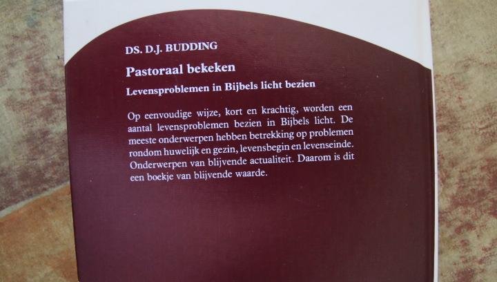 Budding, Ds. D.J. - Pastoraal bekeken - Levensproblemen in Bijbels licht bezien