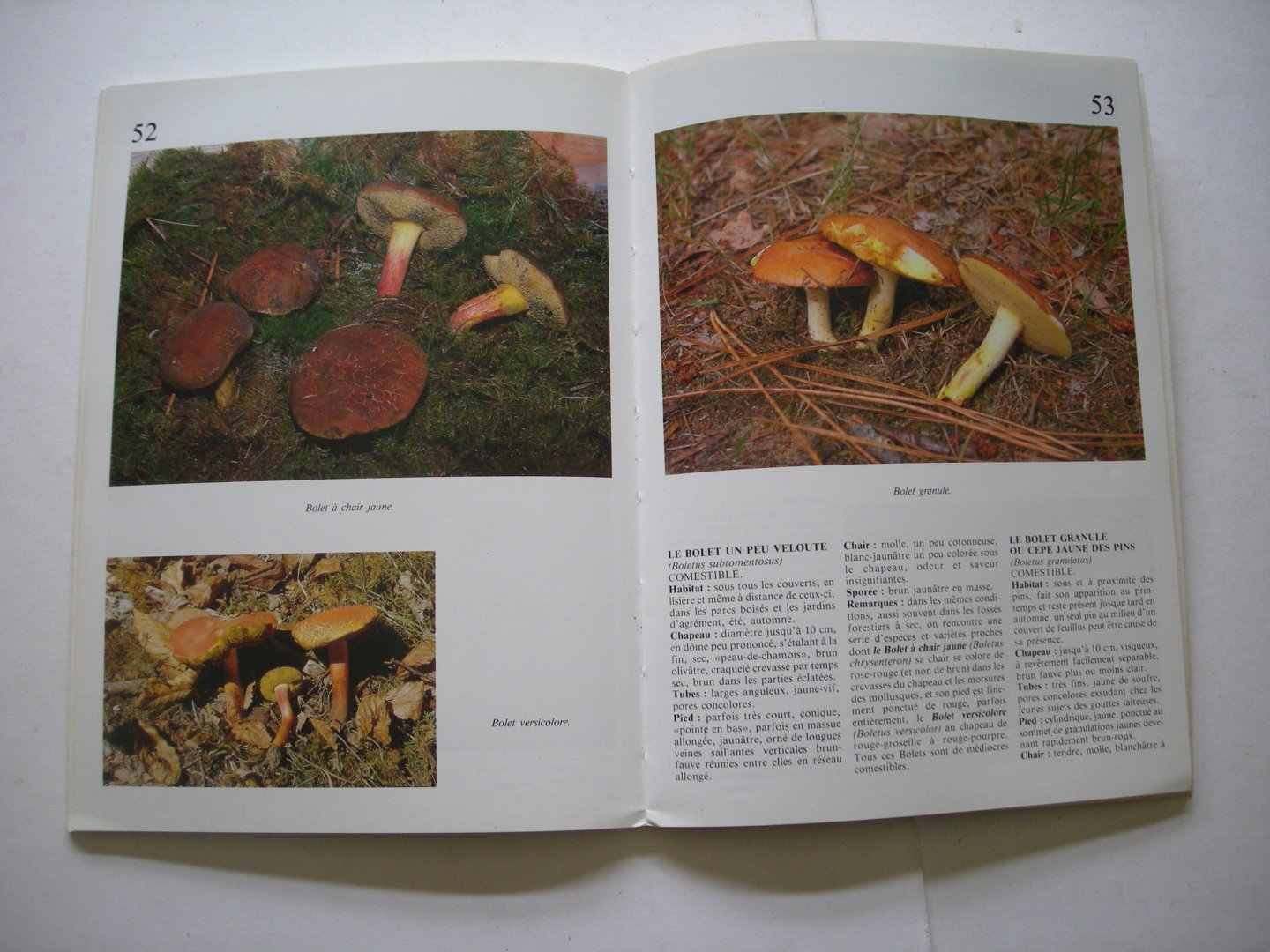 Massart, Francis,  textes, photogr. et dessins - Connaitre les champignons