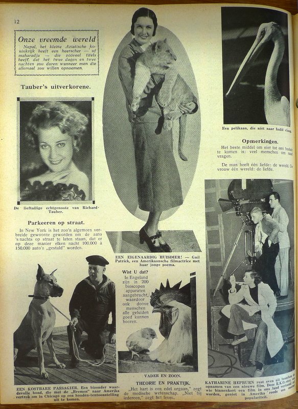  - Weekblad De Lach 1933-1934