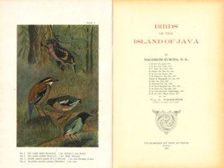 Kuroda, Nagamichi - Birds of the Island of Java, Volume 1 : Passeres
