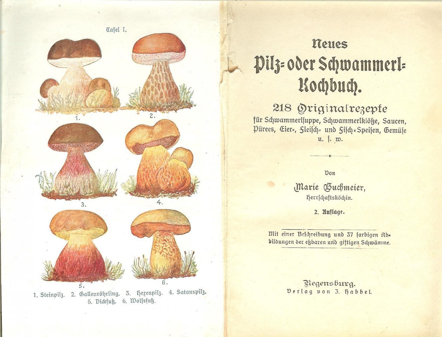 Buchmeier Marie Kochen und Genießen - Neues Pilz- oder Schwammerl-Kochbuch., - 218 Originalrezepte.