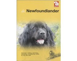 Onbekend - Newfoundlander