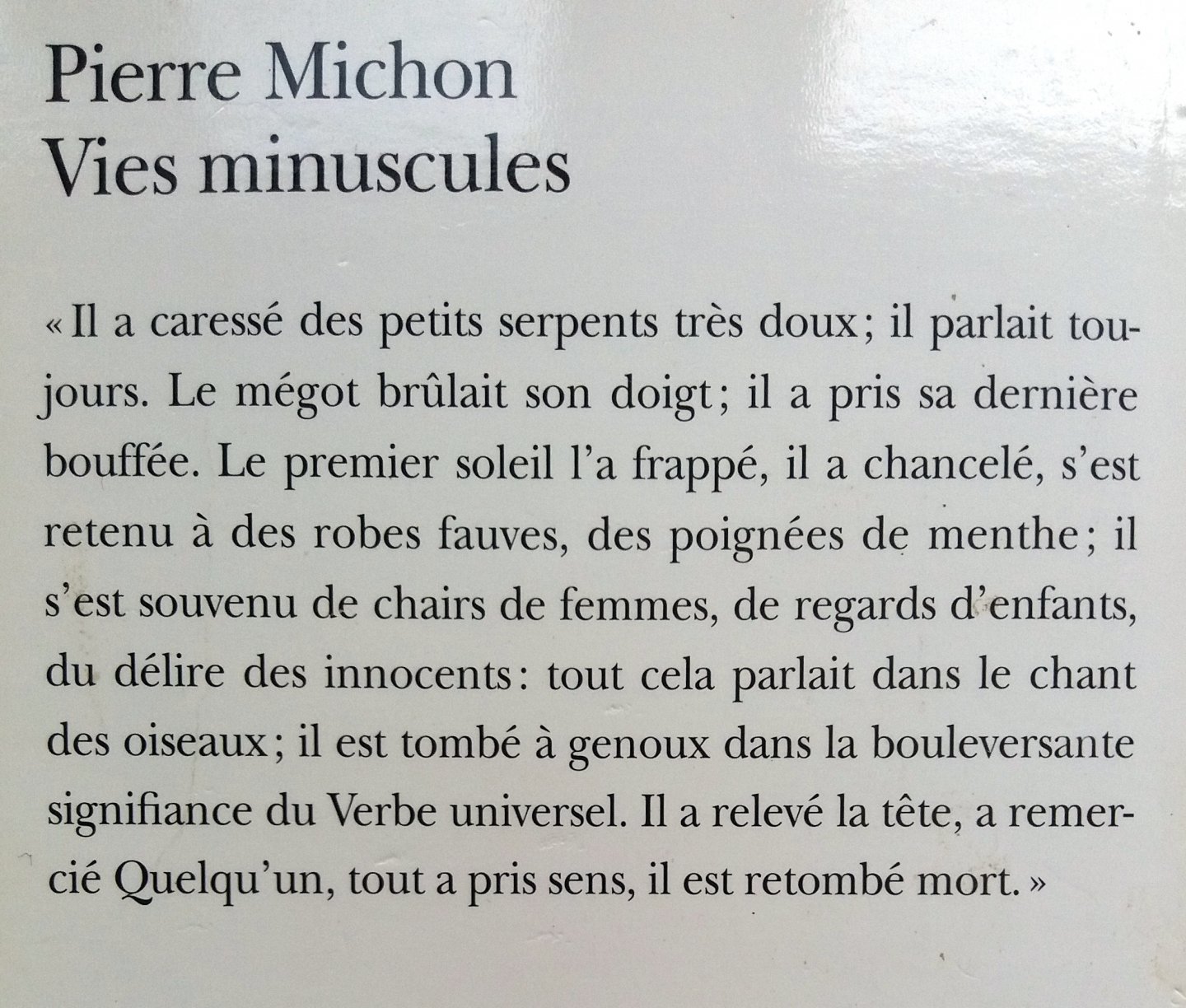 Michon, Pierre - Vies miniscules (FRANSTALIG)