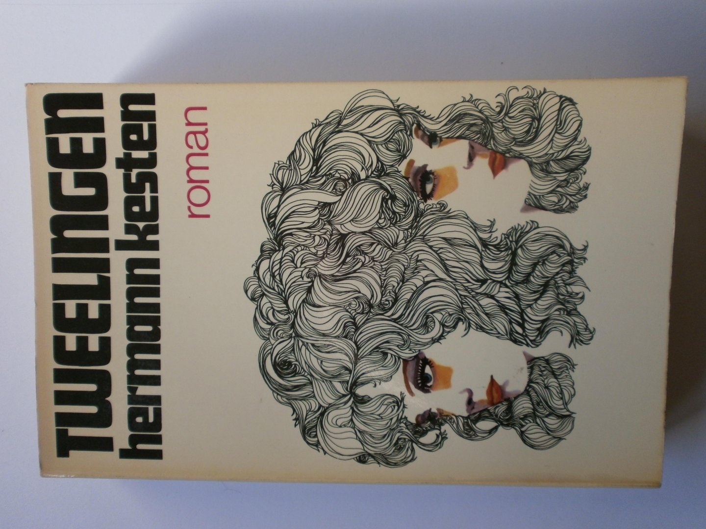 Kesten, Hermann - Tweelingen