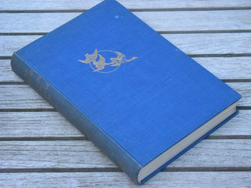 FABRICIUS J. - Mijn huis staat achter de kim, vrijmoedige memoires