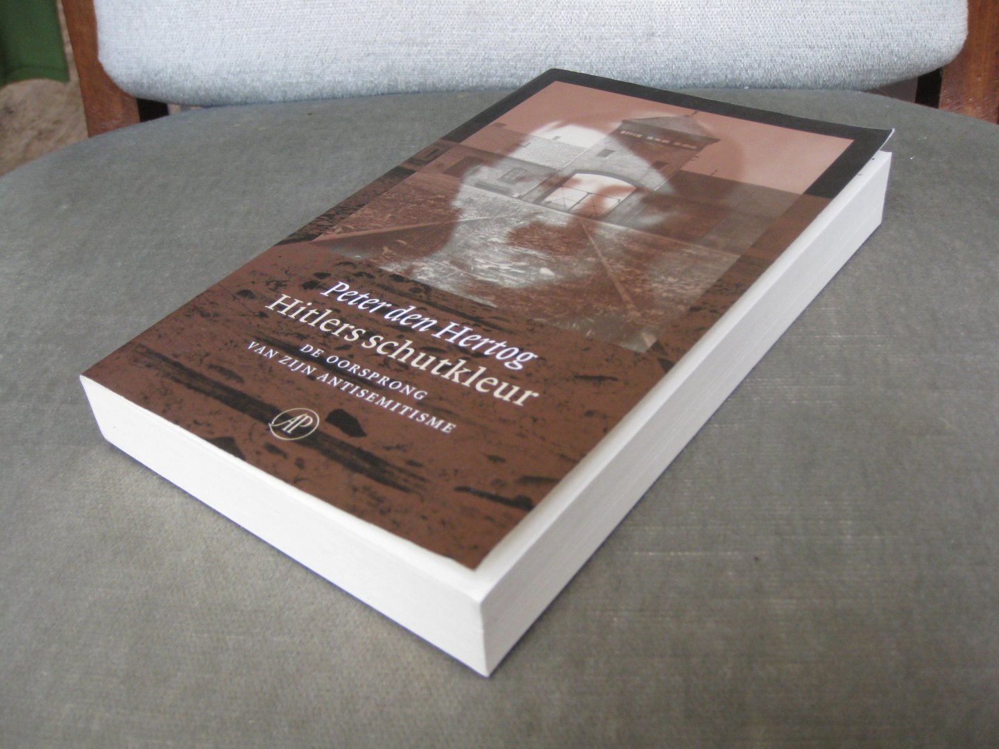 Hertog, P. den  -  Hertog, Peter den - Hitlers schutkleur   -   De oorsprong van zijn antisemitisme