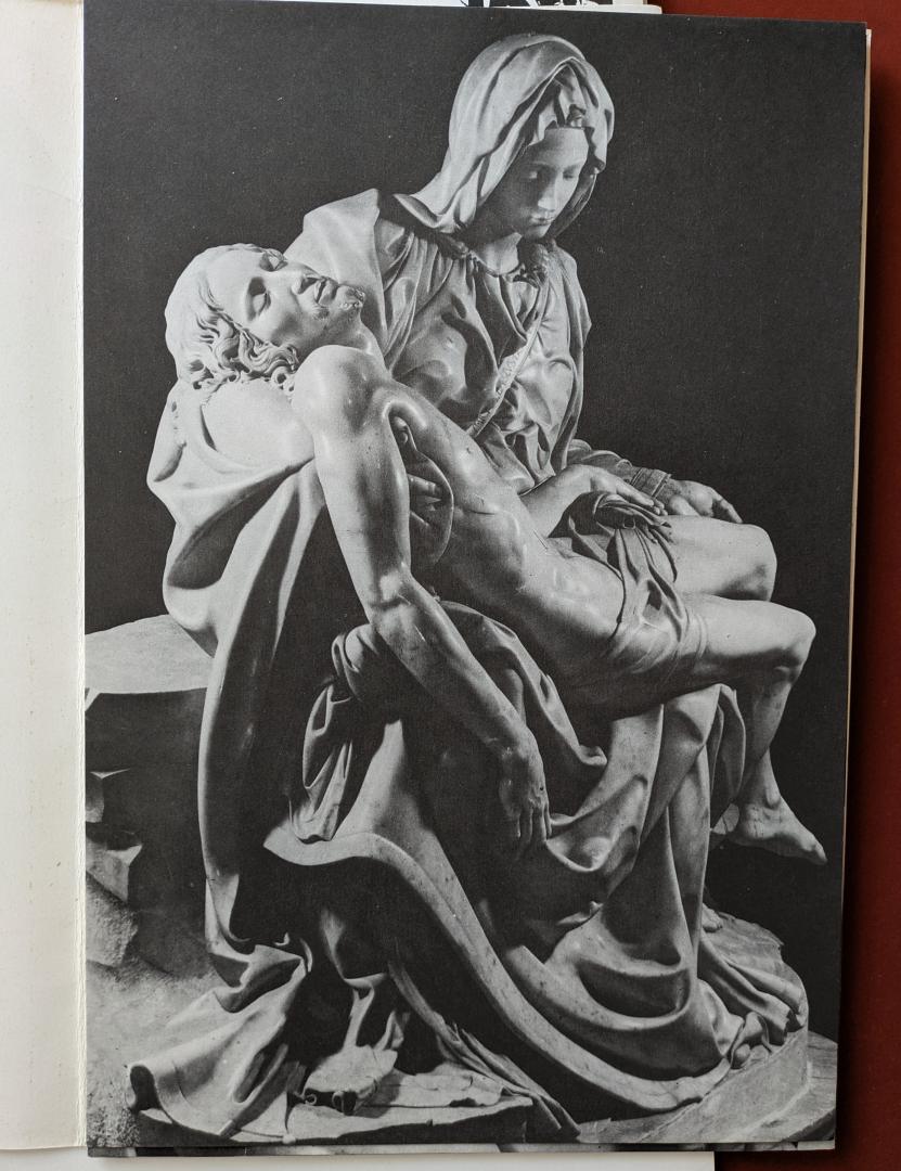  - Michelangelo e la Pietra