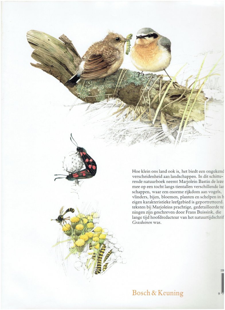 Bastin, M. - Levend landschap / druk 1