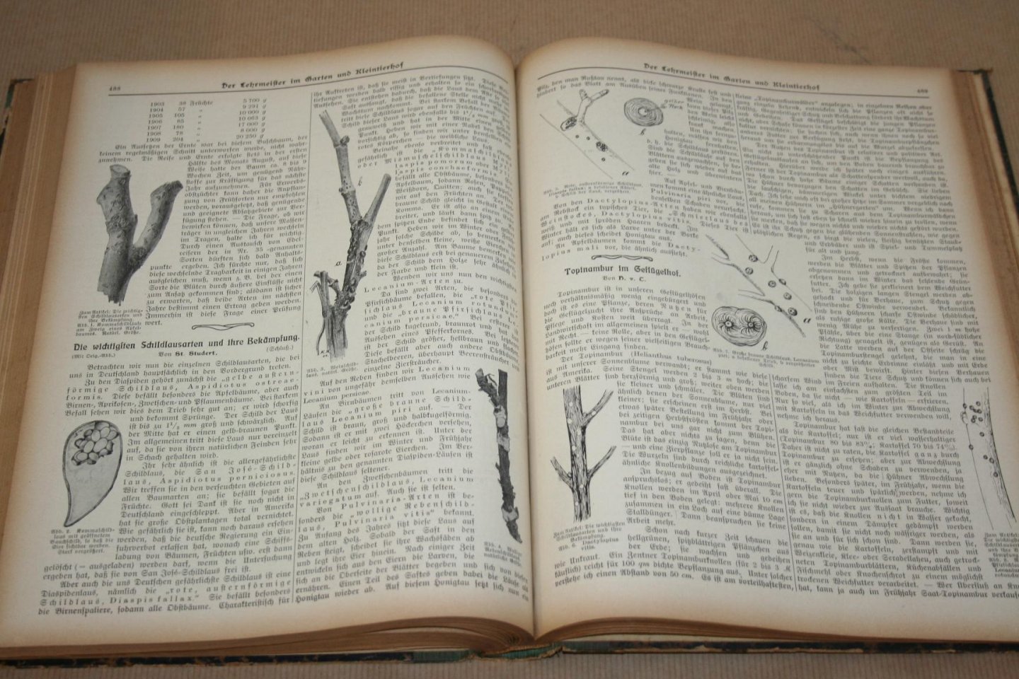 Schneider & Roth - Der Lehrmeister im Garten und Kleintierhof  -- Illustrierte Wochennzeitschrift für Obst-, Gartenbau und Blumpflege, sowie für Geflügel-, Hunde-, Kaninchen-, Schweine-, ziegen-, Fisch- und Bienenzucht, Aquarien- und Terrarienkunde  7. Jahrgang - 1913