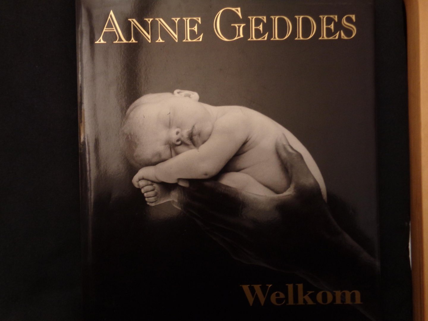 anne geddes - Welkom