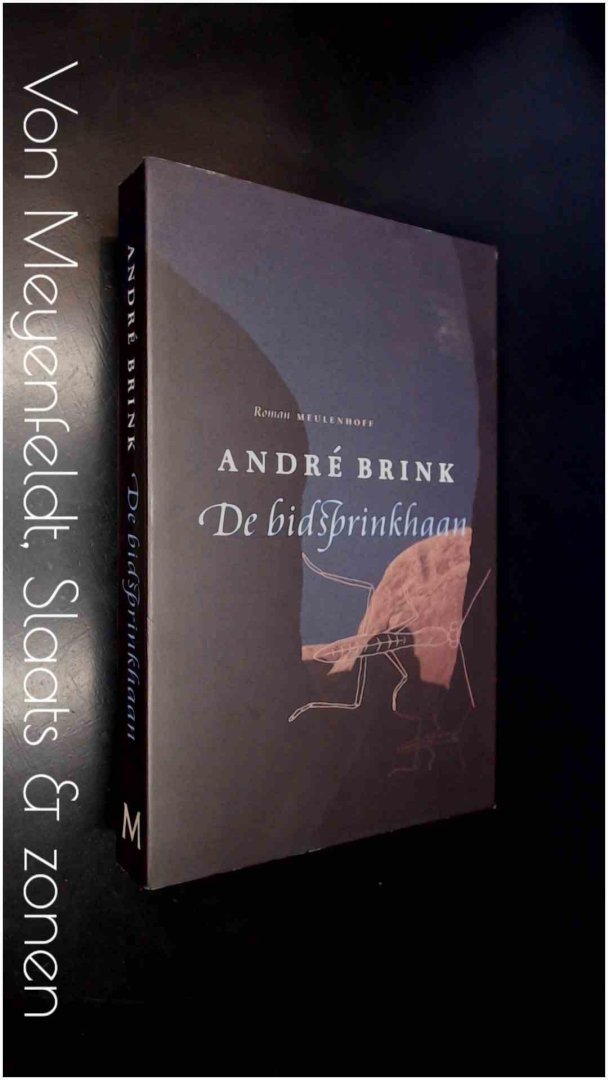 Brink, Andre - De bidsprinkhaan - Een waar verhaal