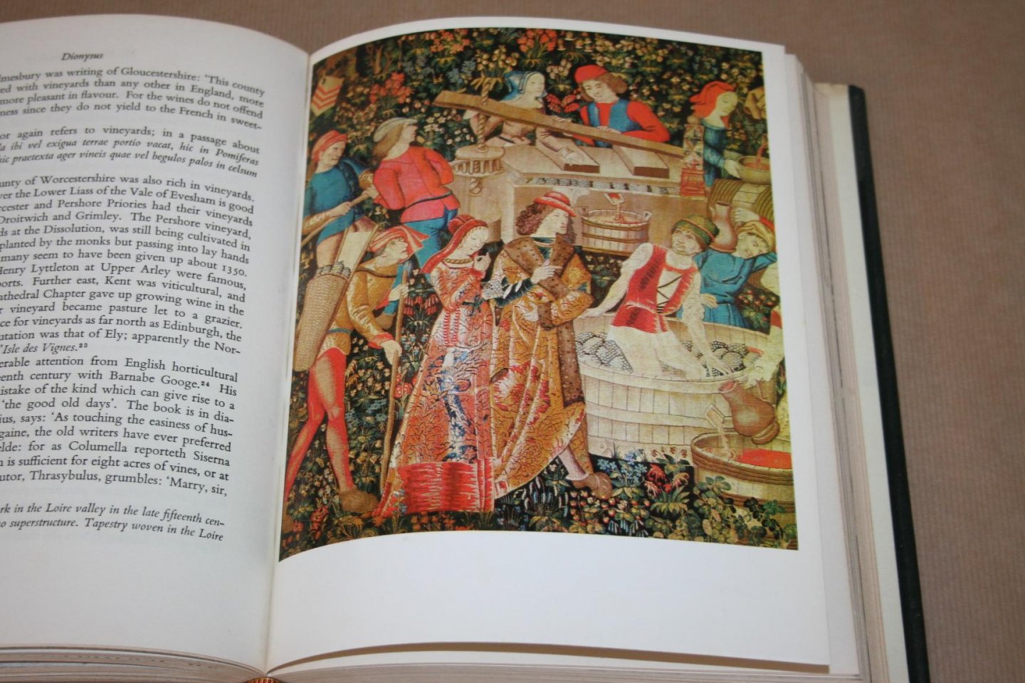 Edward Hyams - Dionysus -- A social History of the Wine Vine