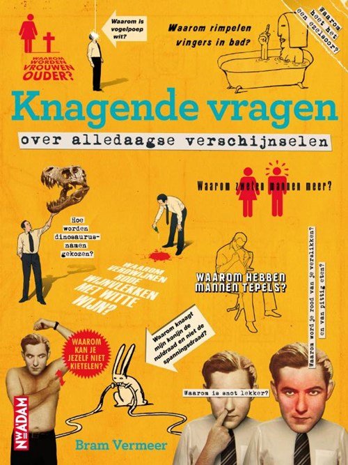 Bram Vermeer - Knagende vragen