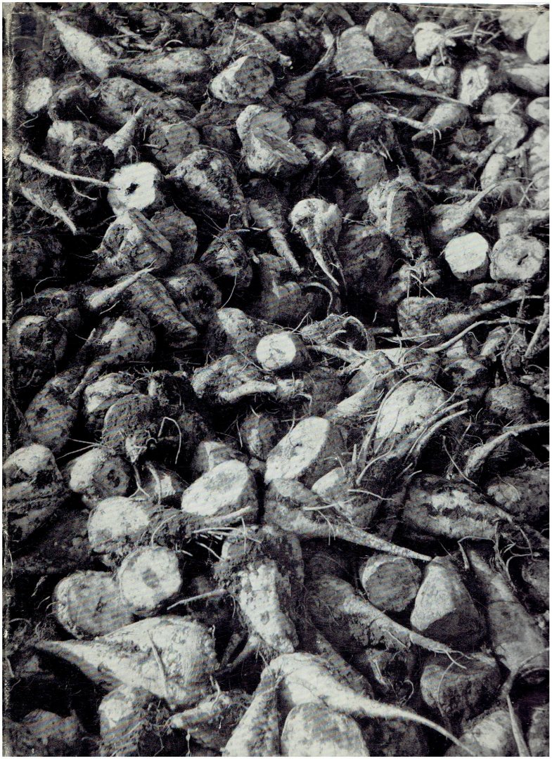 zandstra, evert - VCS gedenkboek bij het tienjarig bestaan van de cooperative suikerfabrieken dinteloord, roosendaal, zevenbergen ( met foto,s van hans de boer )