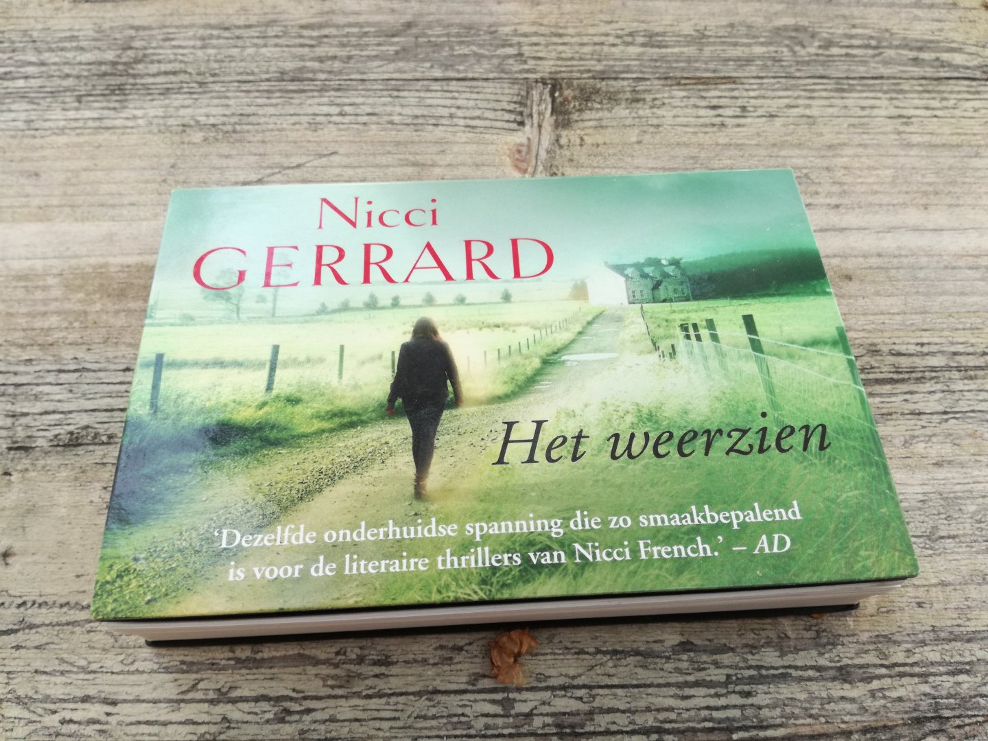 Gerrard, Nicci - Het weerzien DL