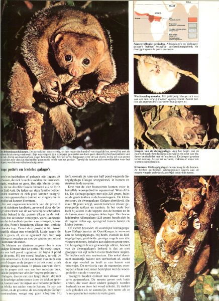 Scot,Scheygrond, Burton Maurice/e.a voorwoord van Z.K.H. de Prins der Neder - Grote geillustreerde dierenatlas.