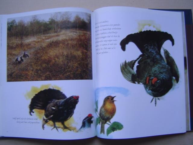 Poortvliet  Rien - Dieren in de natuur