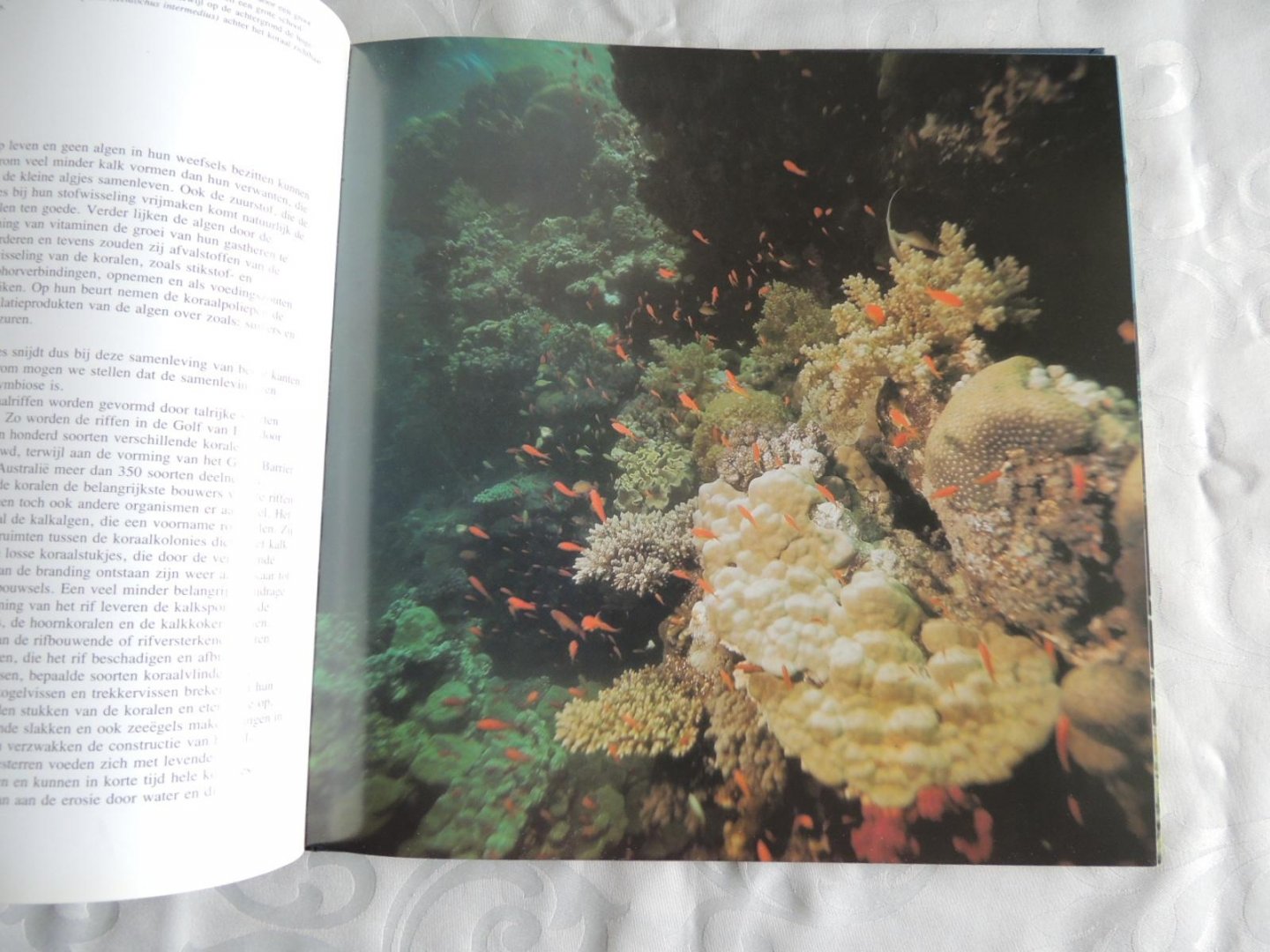 Carl Roessler - graaf frank de - The Underwater Wilderness: Life Around the Great Reefs - Leven onder Water, van frank de graaf GRATIS ERBIJ