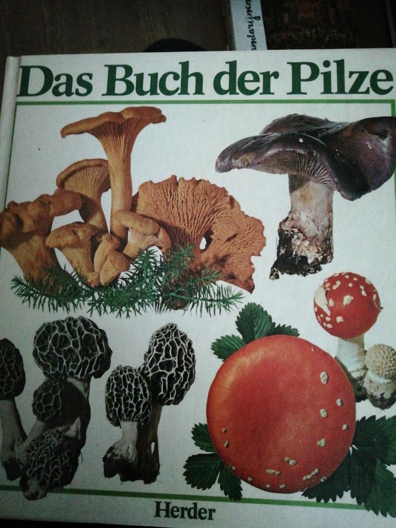 Schlitter J - Das Buch der Pilze