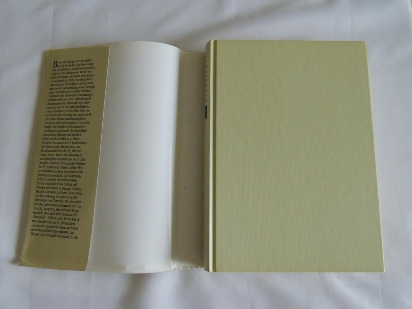 Kapp, Volker (Hrsg.) - Unter Mitarbeit von Hans Felten, Frank-Rutger Hausmann, Franca Janowski u.a. - Italienische Literaturgeschichte  Literatur geschichte