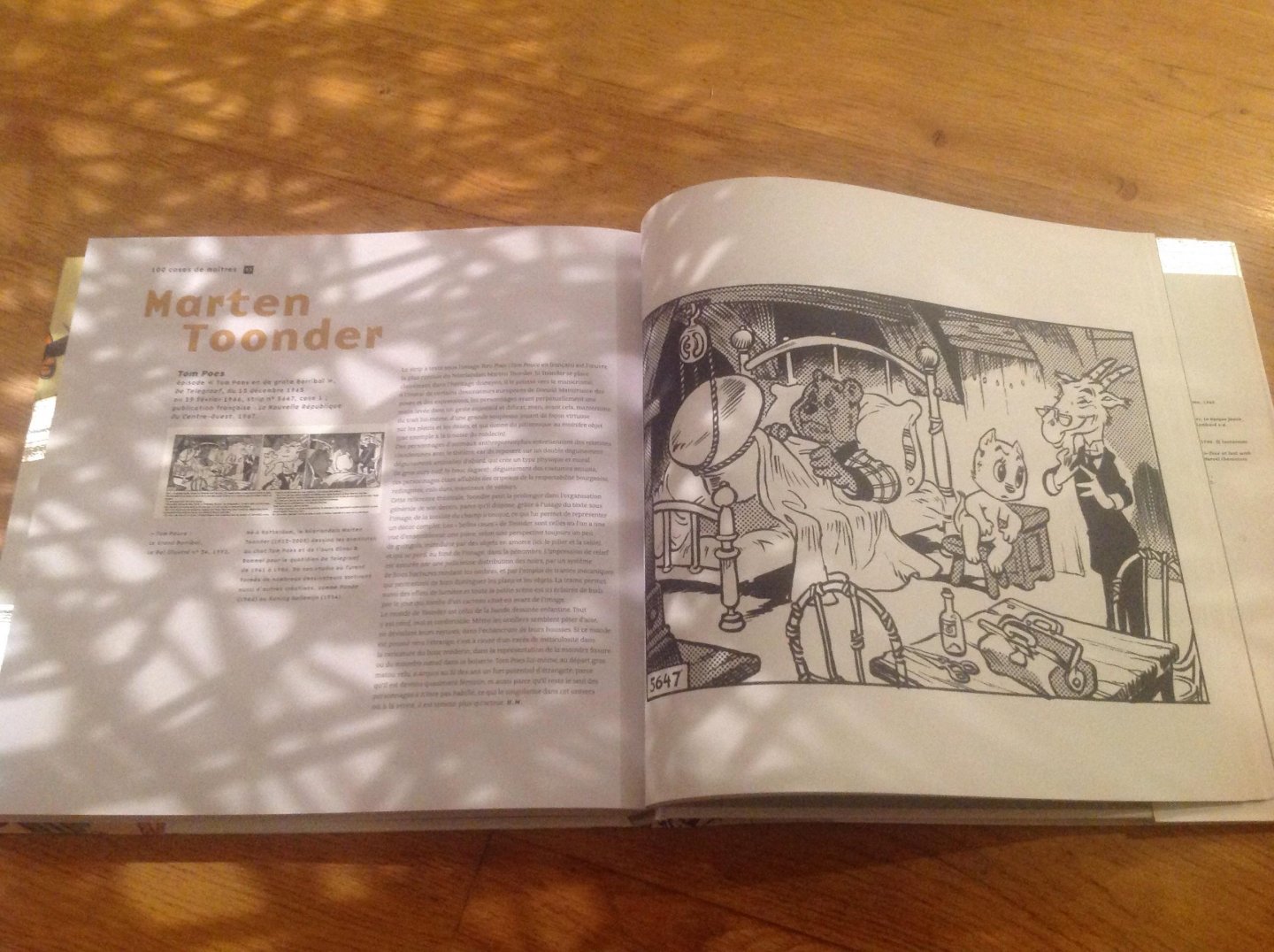 Gilles Ciment & Thierry Groensteen - 100 cases de Maîtres un Art graphique, la bande dessinée.