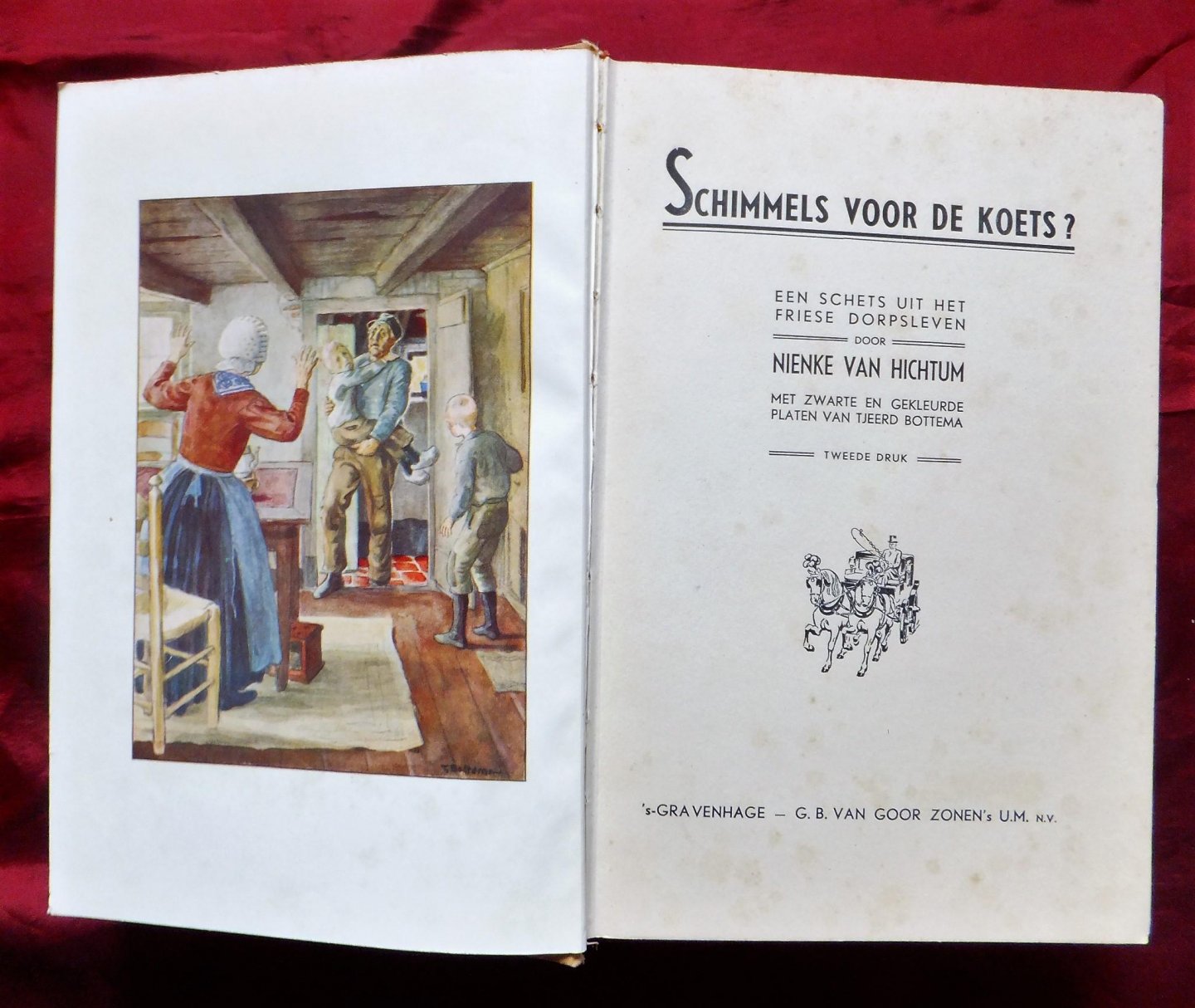Nienke van Hichtum - SCHIMMELS VOOR DE KOETS