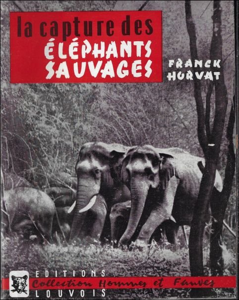 HORVAT FRANCK - capture des  l phants sauvages.