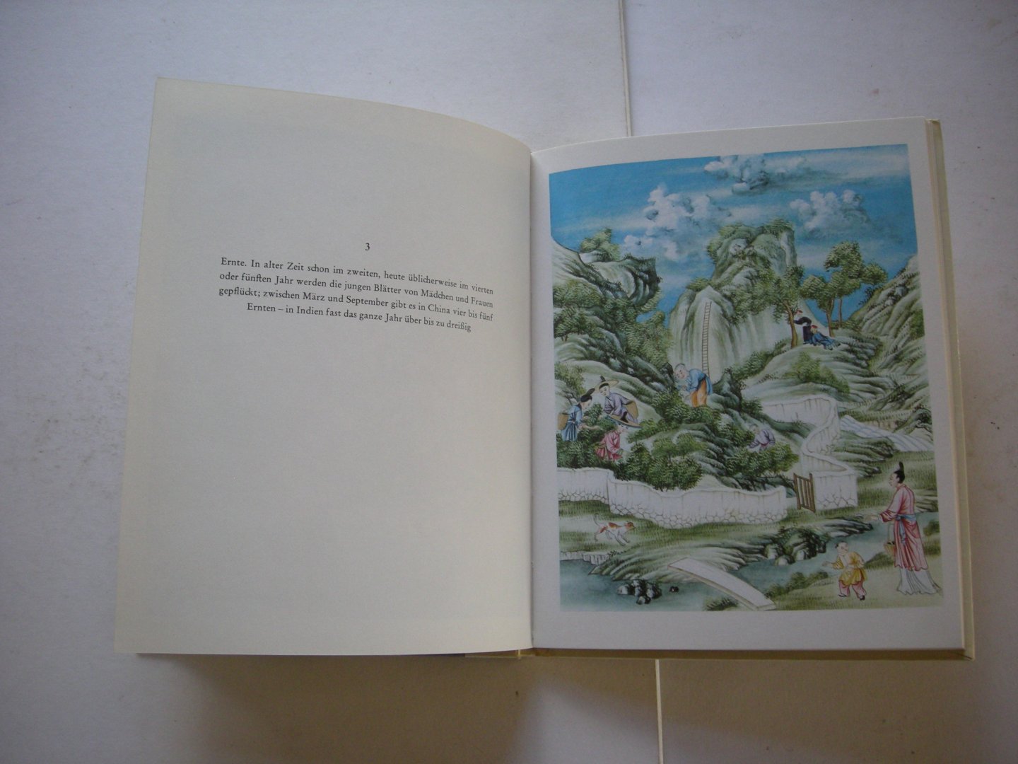Adrian, Hans G. - Bilderbuch zum Tee. Eine kleine Kulturgeschichte des Teetrinkens mit zwolf chinesischen Aquarellen des 18.Jahrhunderts