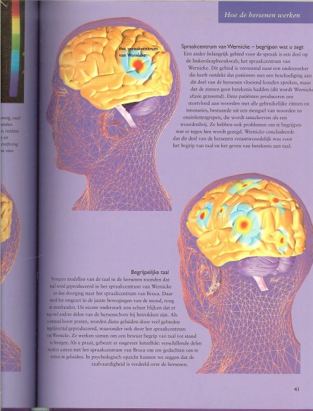 Nooij Lidy .. Vertaling Elliy van der Meijden .. Dieetadviezen Joke van Dijk - Jonkhoff en Anouk Endert - Hersenen en centraal zenuwstelsel .. Uit de serie lichaam & gezondheid