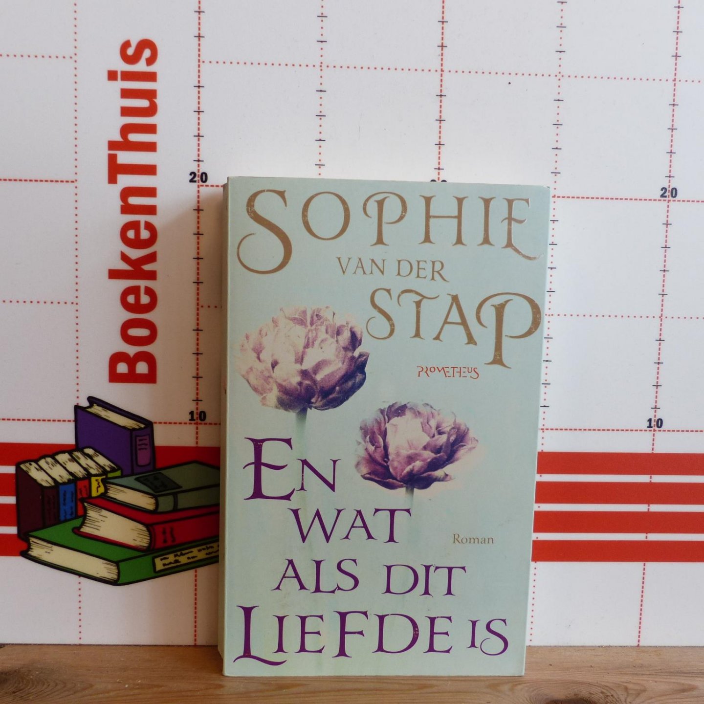 Stap, Sophie van der - en wat als dit liefde is