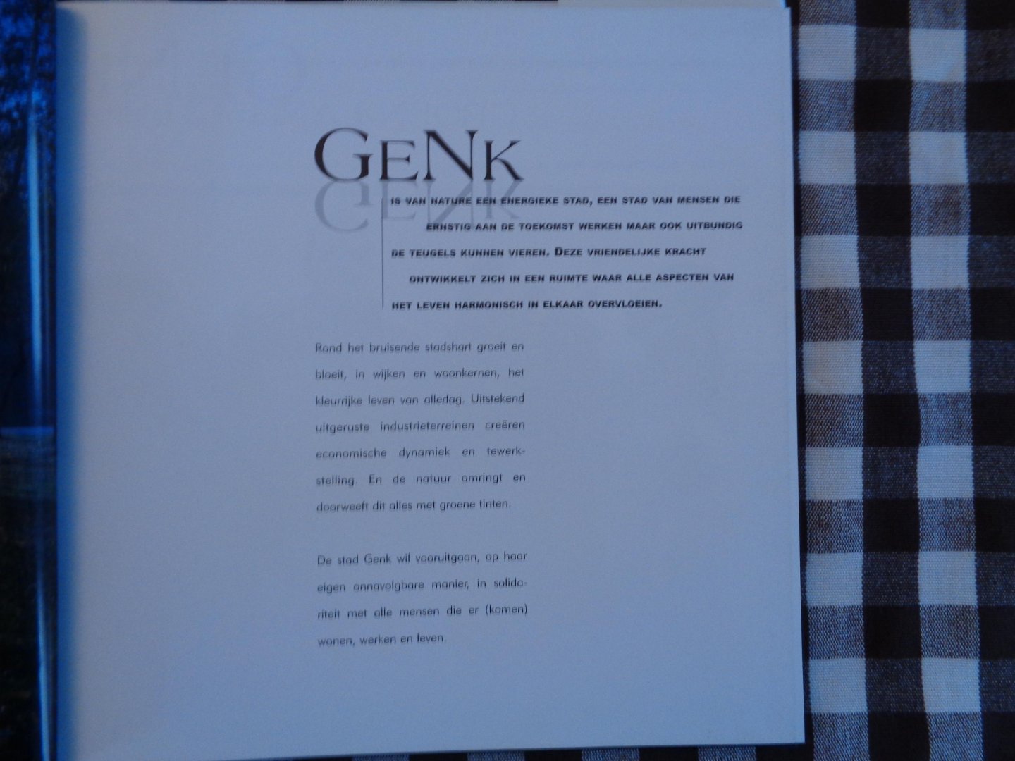 marcel  engelen - johan carlens - genk  een portret