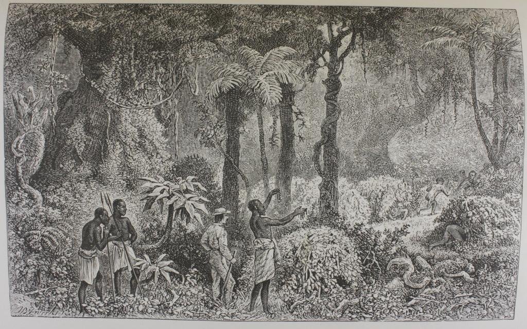Chaillu, Paul B. du - A Journey to Ashango-land; and further penetration into Equatorial Africa