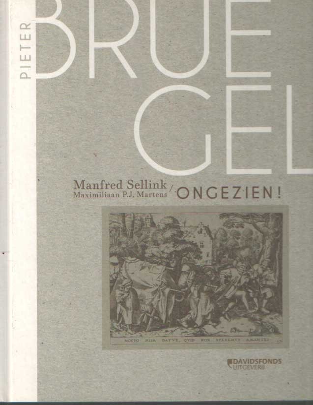 Sellink, Manfred - Bruegel ongezien. De verborgen Antwerpse collecties