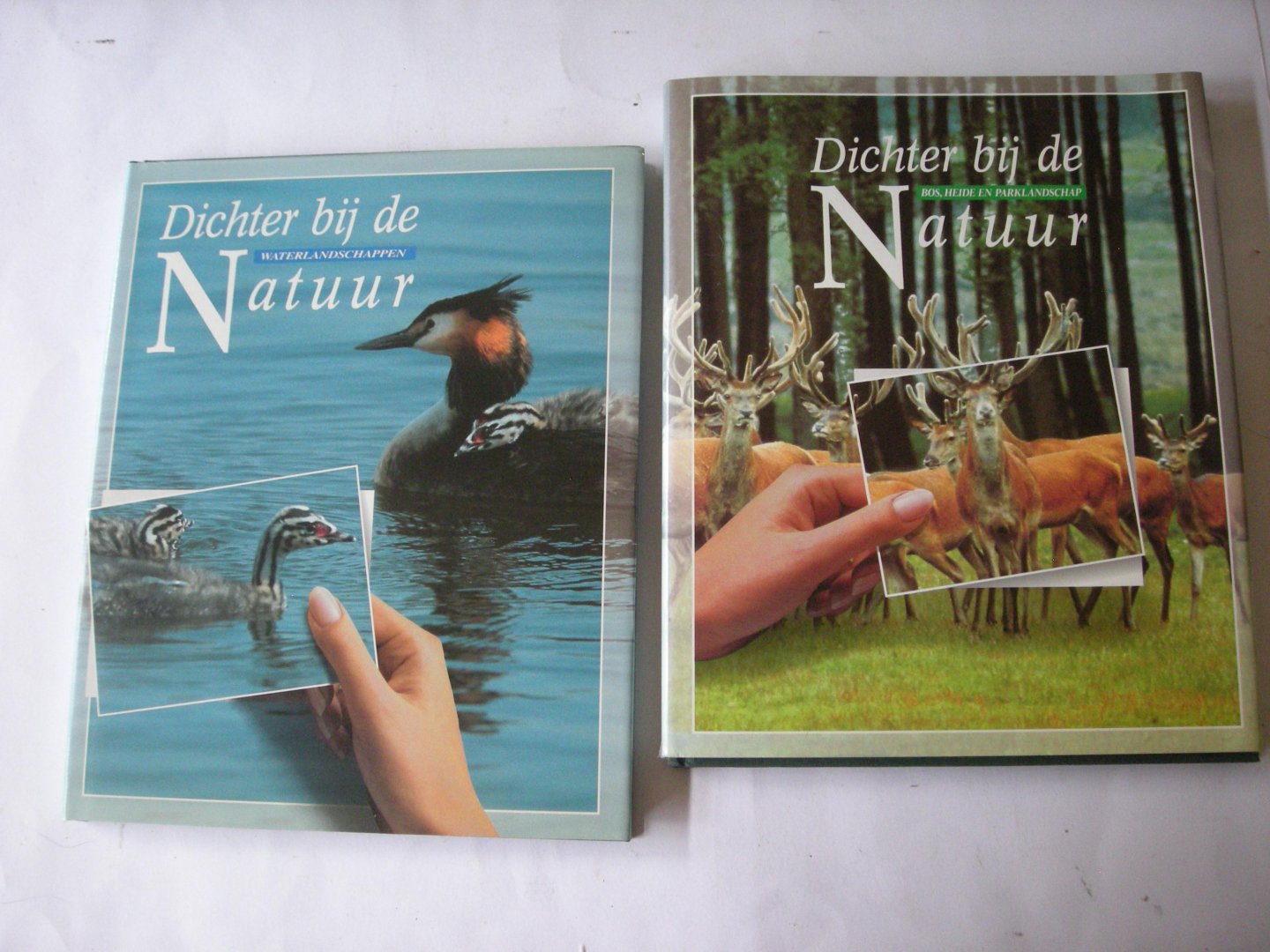 Ewijk, T.van, Ek,L.van, Fey,T. - Waterlandschappen