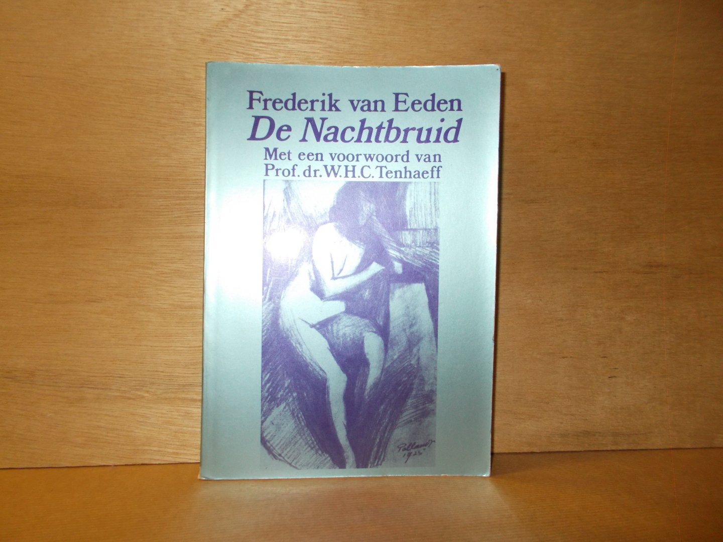 Eeden, Ferderik van - De nachtbruid