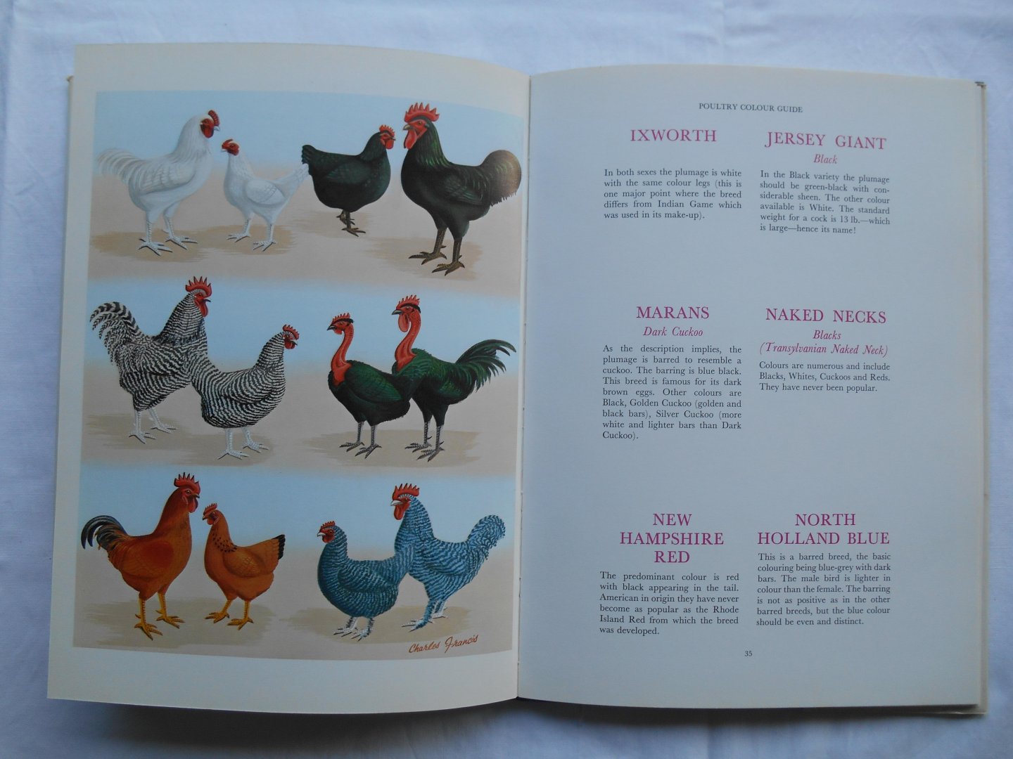 Batty, Dr. J. & Charles, Francis - Poultry Colour Guide.