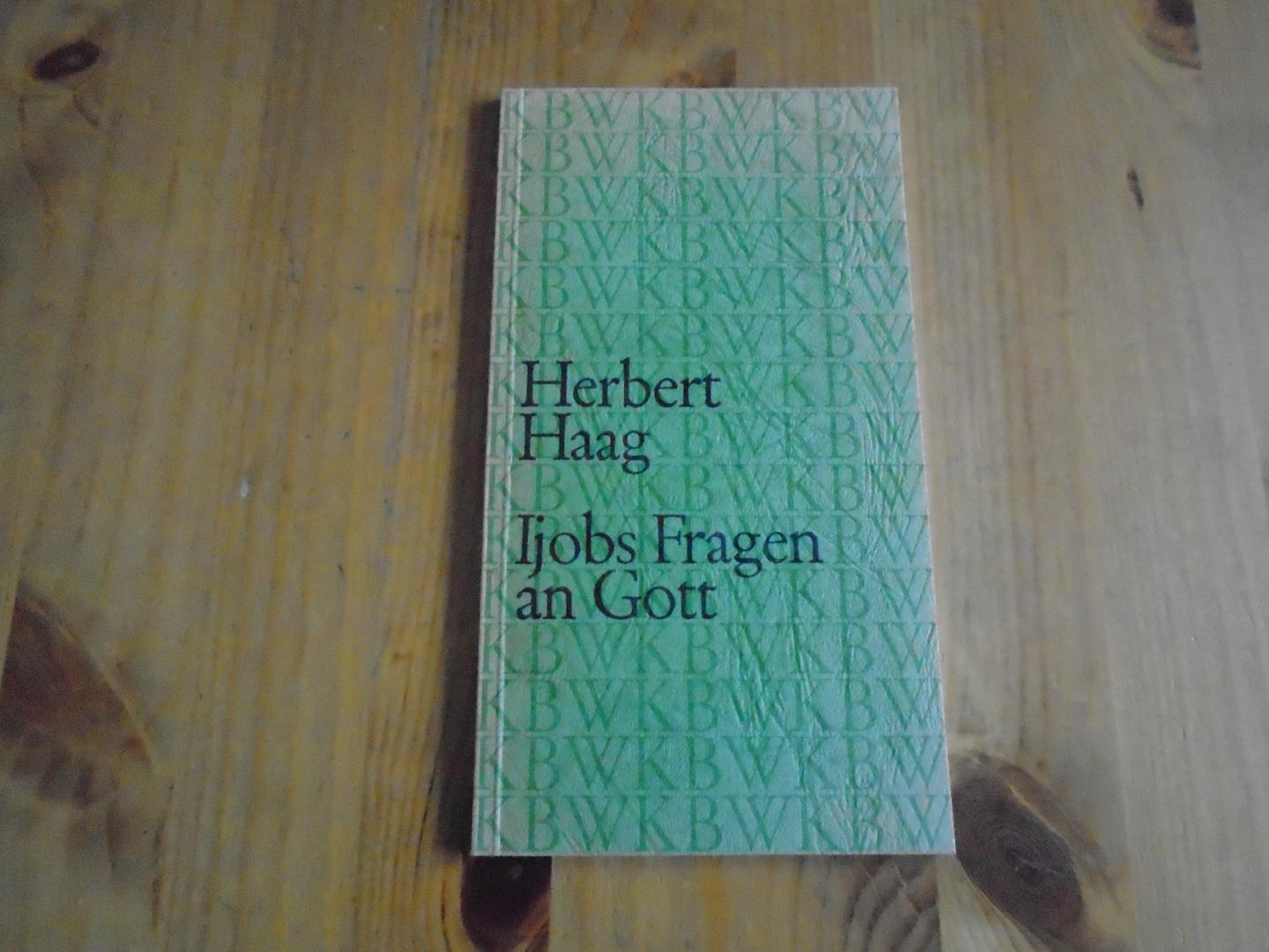 Haag, Herbert - Ijobs Fragen an Gott