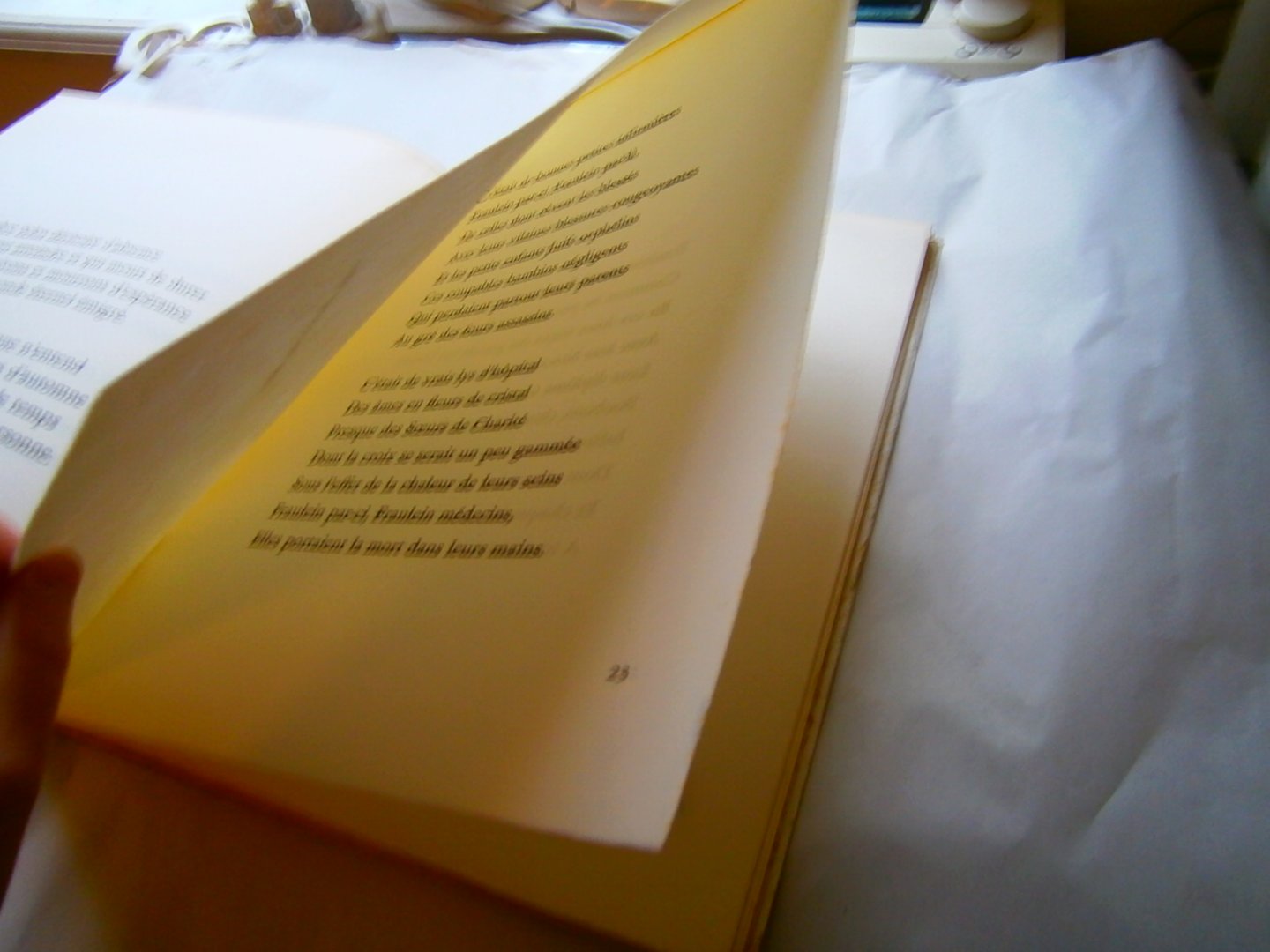 Radzitzky, Carlos de - Desert secret