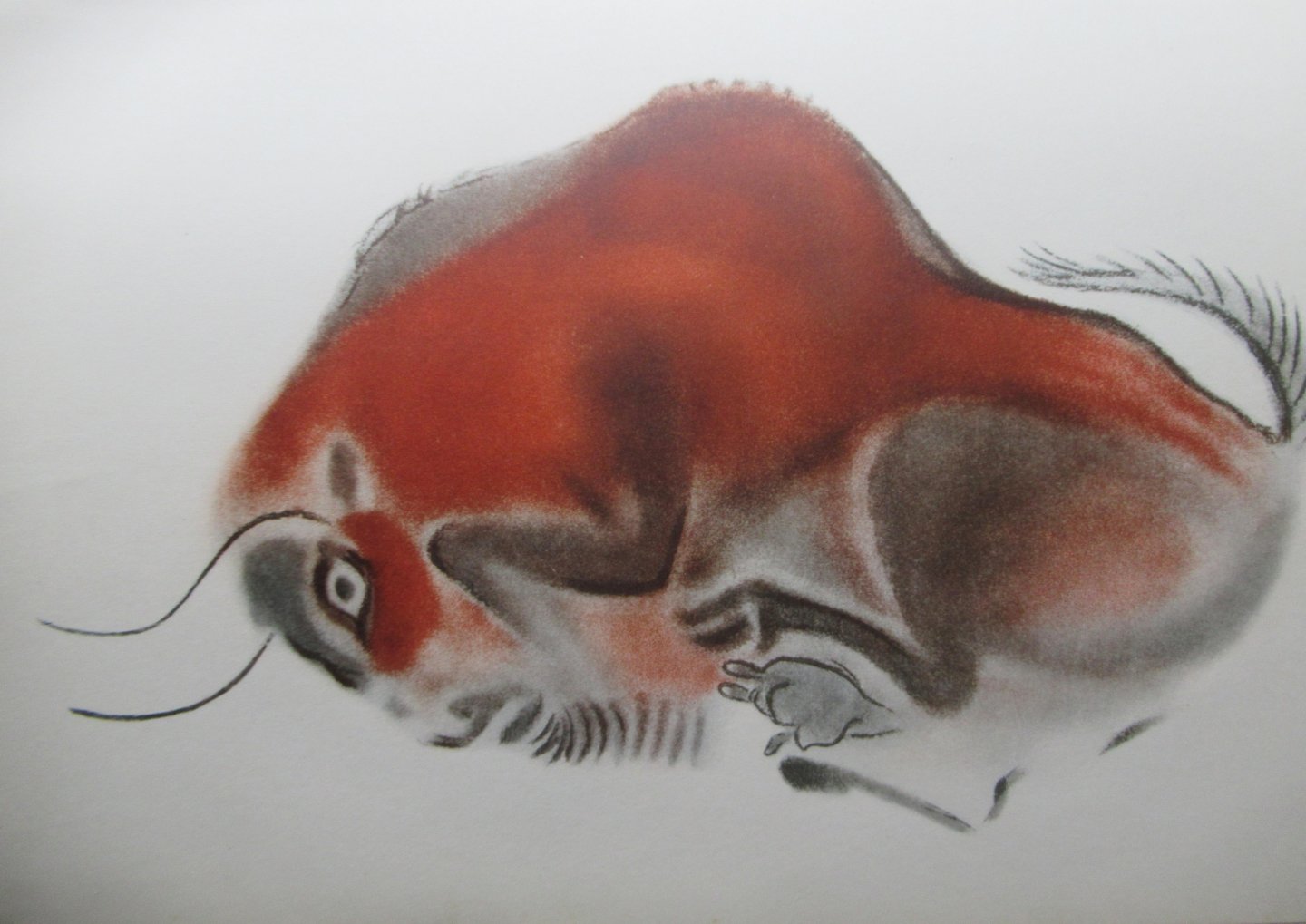 Kuhn von, Herbert - Die Malerei der Eiszeit