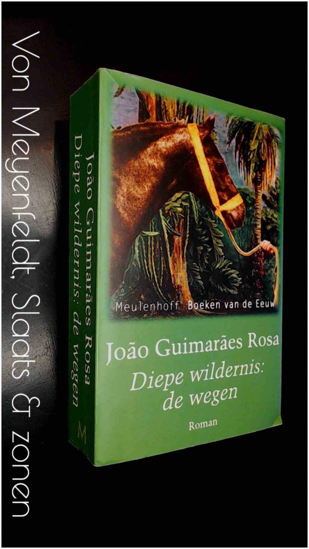 Guimaraes Rosa, Joao - Diepe wildernis: de wegen