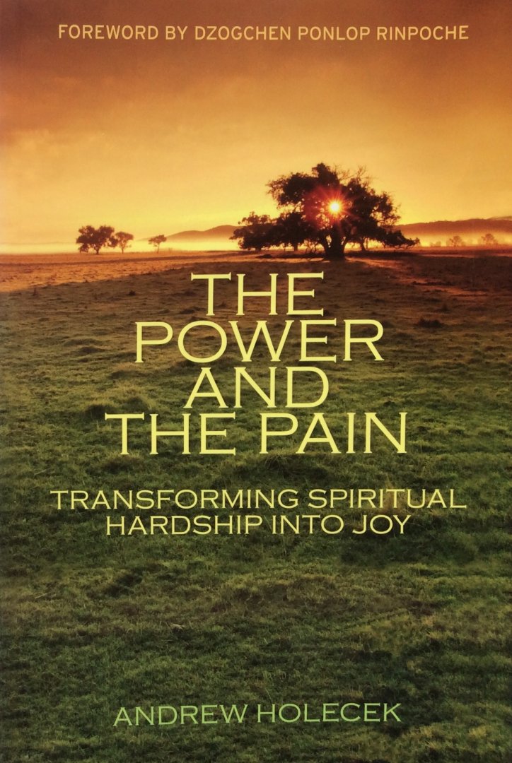 Holecek, Andrew - The power and the pain; transforming spiritual hardship into joy