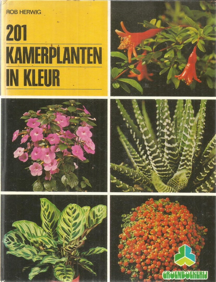 Herwig, Rob - 201 Kamerplanten in kleur
