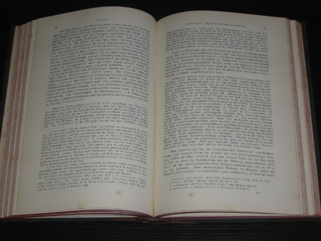 Leyden, E.von - Handbuch der Ernahrungstherapie und Diatetik