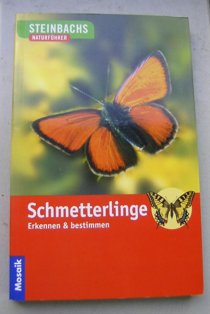 Bellmann, Heiko - Schmetterlinge--erkennen & bestimmen