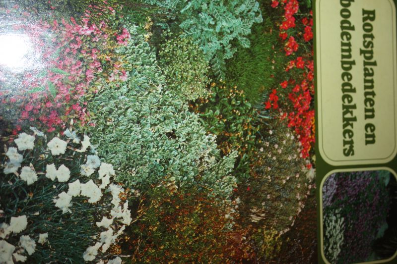 Bloom Alan - Rotsplanten en Bodembedekkers
