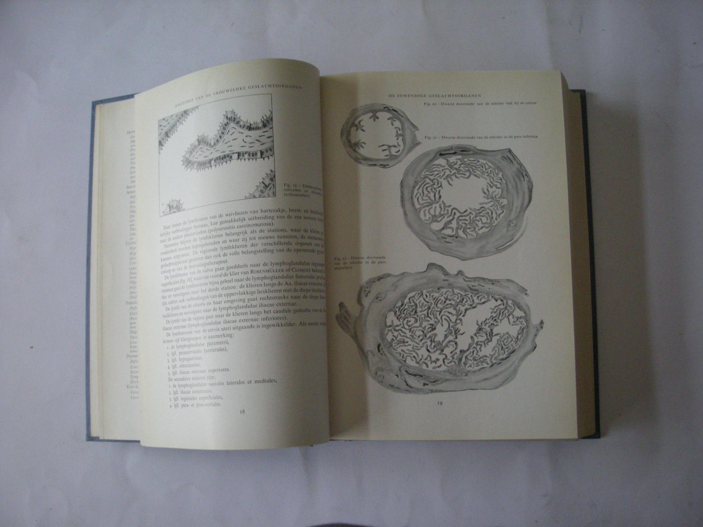 Bouwdijk Bastiaanse, M.A.van, red. / Ten Berge,B.S., Holmer,A.J.M., Plate,W.P. - Leerboek der vrouwenziekten