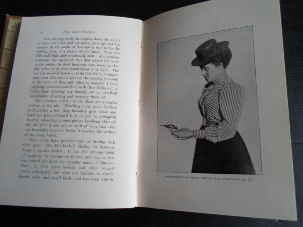 Kearton F.Z.S, Richard - Our Bird Friends, A book for all boys and girls